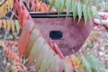 torebko nerka welur indian pink_01_m.jpg